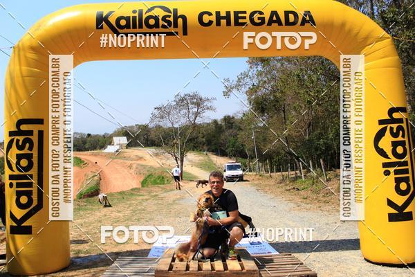 Achetez vos photos de l'vnementTreino Premiado de Canicross sur Fotop