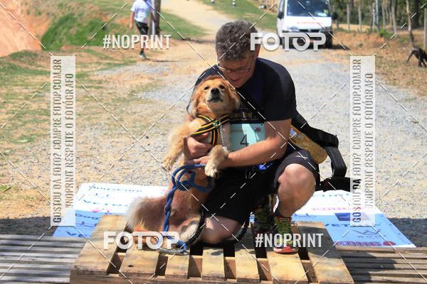 Achetez vos photos de l'vnementTreino Premiado de Canicross sur Fotop
