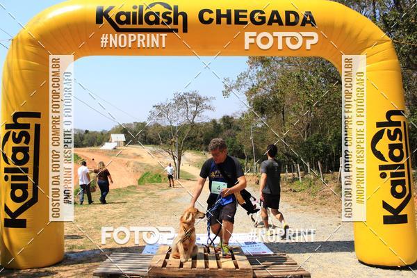 Achetez vos photos de l'vnementTreino Premiado de Canicross sur Fotop