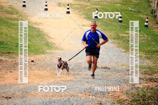 Achetez vos photos de l'vnementTreino Premiado de Canicross sur Fotop