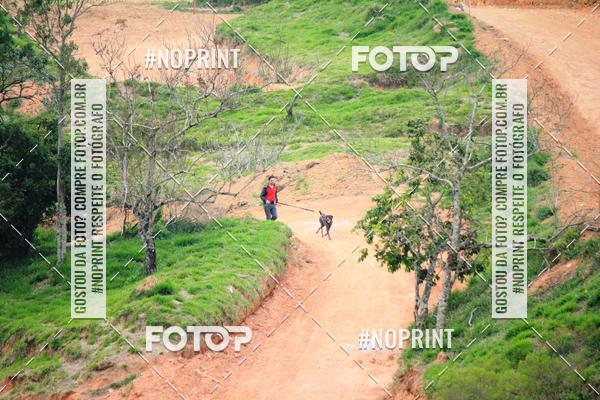 Achetez vos photos de l'vnementTreino Premiado de Canicross sur Fotop