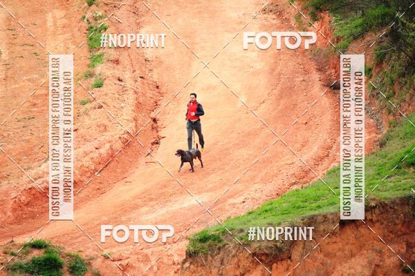 Achetez vos photos de l'vnementTreino Premiado de Canicross sur Fotop