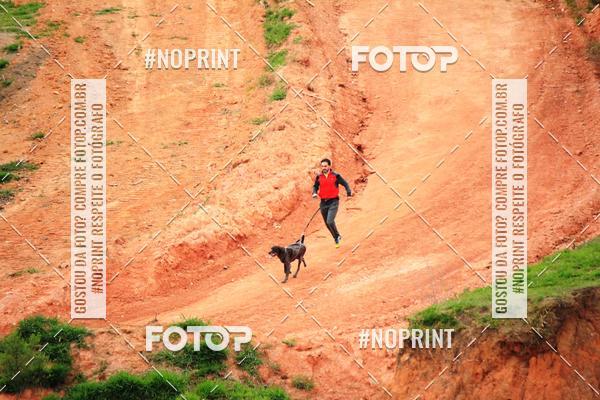 Achetez vos photos de l'vnementTreino Premiado de Canicross sur Fotop