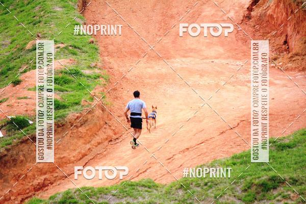 Achetez vos photos de l'vnementTreino Premiado de Canicross sur Fotop