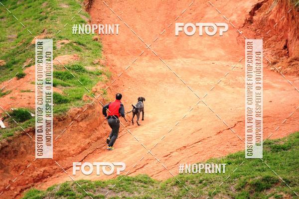 Achetez vos photos de l'vnementTreino Premiado de Canicross sur Fotop