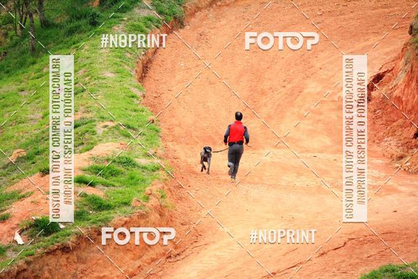 Achetez vos photos de l'vnementTreino Premiado de Canicross sur Fotop