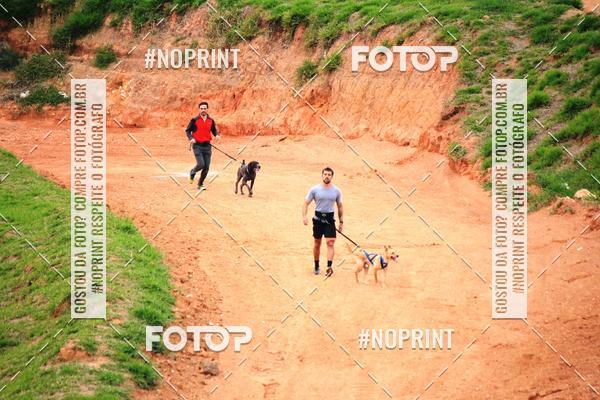 Achetez vos photos de l'vnementTreino Premiado de Canicross sur Fotop