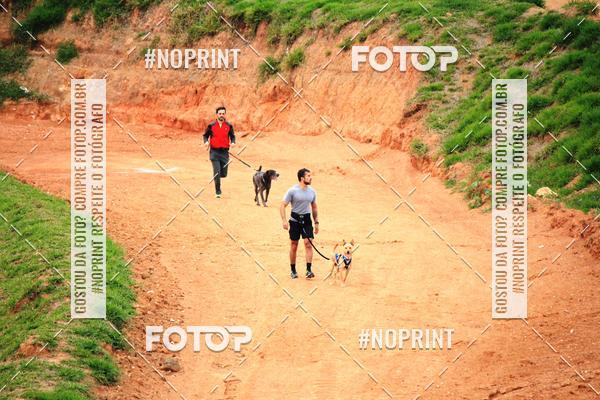 Acquista le foto dell'eventoTreino Premiado de Canicross in Fotop