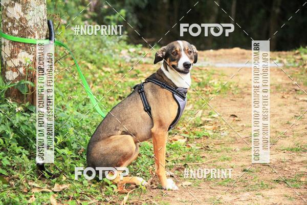 Acquista le foto dell'eventoTreino Premiado de Canicross in Fotop