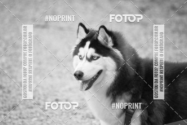 Acquista le foto dell'eventoTreino Premiado de Canicross in Fotop