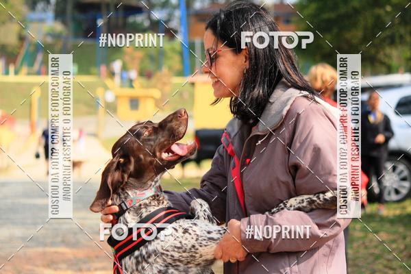 Acquista le foto dell'eventoTreino Premiado de Canicross in Fotop