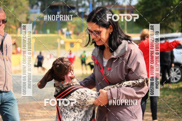 Acquista le foto dell'eventoTreino Premiado de Canicross in Fotop