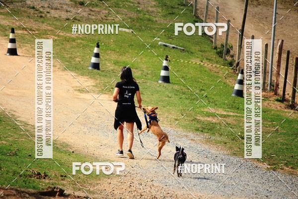 Acquista le foto dell'eventoTreino Premiado de Canicross in Fotop