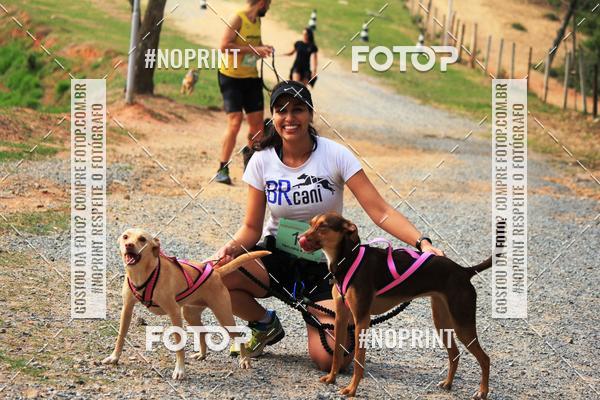 Acquista le foto dell'eventoTreino Premiado de Canicross in Fotop
