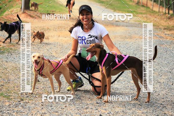 Acquista le foto dell'eventoTreino Premiado de Canicross in Fotop