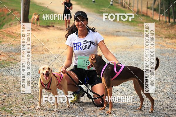 Acquista le foto dell'eventoTreino Premiado de Canicross in Fotop