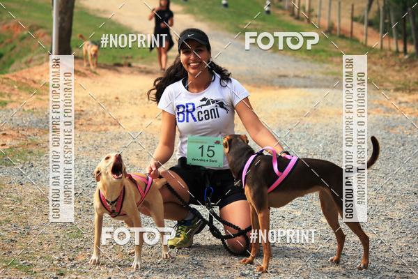 Acquista le foto dell'eventoTreino Premiado de Canicross in Fotop