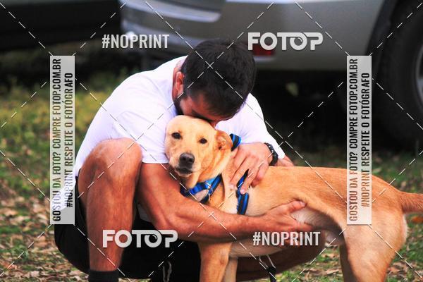 Compra tus fotos del eventoTreino Premiado de Canicross En Fotop