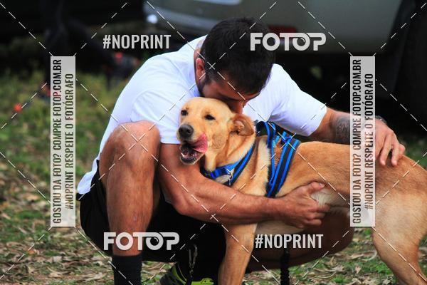 Compra tus fotos del eventoTreino Premiado de Canicross En Fotop