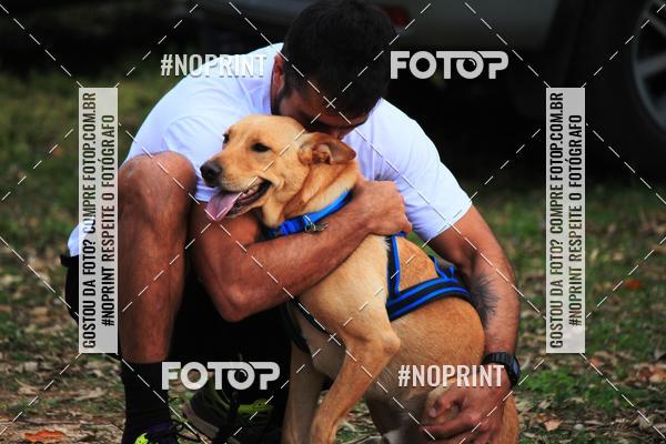 Compra tus fotos del eventoTreino Premiado de Canicross En Fotop