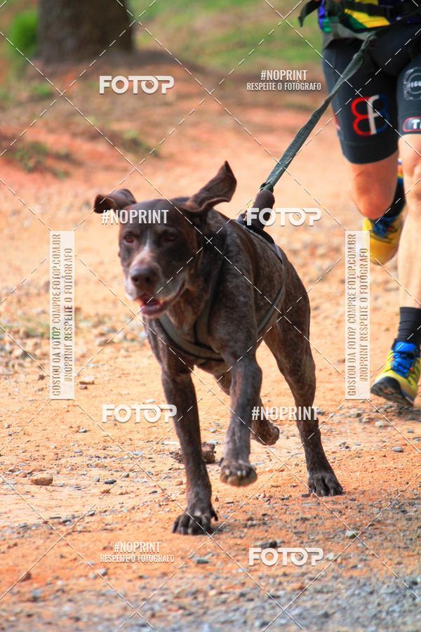 Compra tus fotos del eventoTreino Premiado de Canicross En Fotop