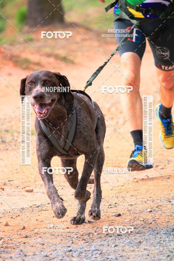 Compra tus fotos del eventoTreino Premiado de Canicross En Fotop