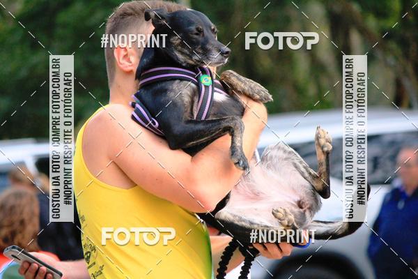 Compra tus fotos del eventoTreino Premiado de Canicross En Fotop