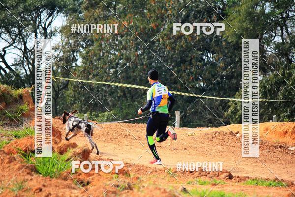 Compra tus fotos del eventoTreino Premiado de Canicross En Fotop