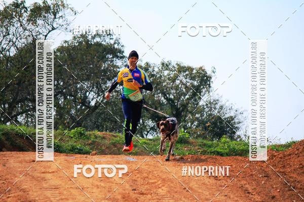 Compra tus fotos del eventoTreino Premiado de Canicross En Fotop