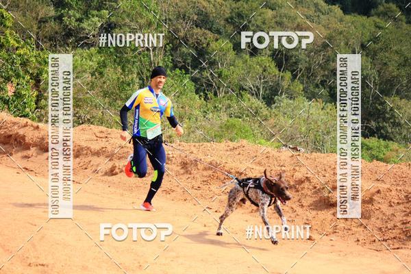 Acquista le foto dell'eventoTreino Premiado de Canicross in Fotop