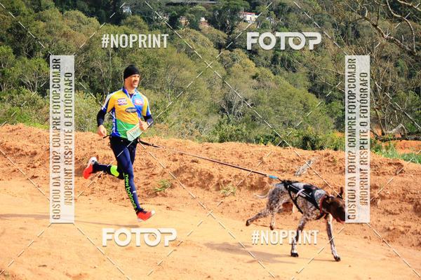 Acquista le foto dell'eventoTreino Premiado de Canicross in Fotop
