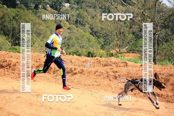 Acquista le foto dell'eventoTreino Premiado de Canicross in Fotop