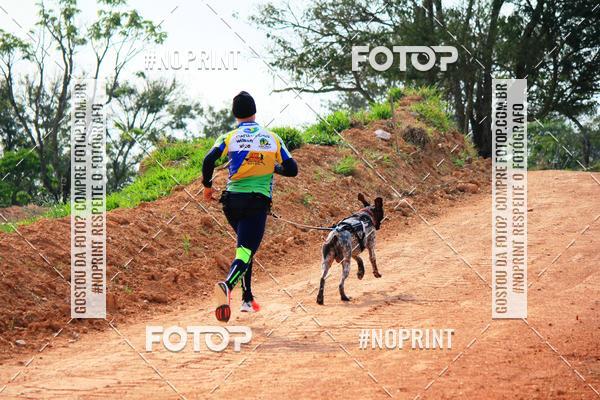 Acquista le foto dell'eventoTreino Premiado de Canicross in Fotop