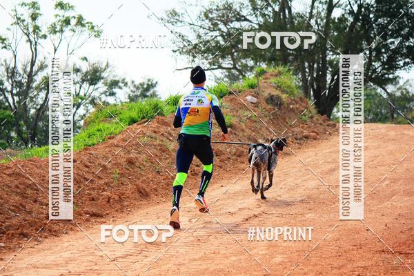 Acquista le foto dell'eventoTreino Premiado de Canicross in Fotop