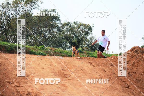 Acquista le foto dell'eventoTreino Premiado de Canicross in Fotop