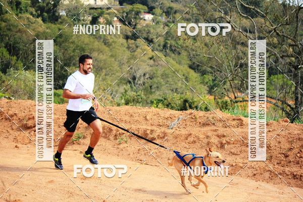 Acquista le foto dell'eventoTreino Premiado de Canicross in Fotop