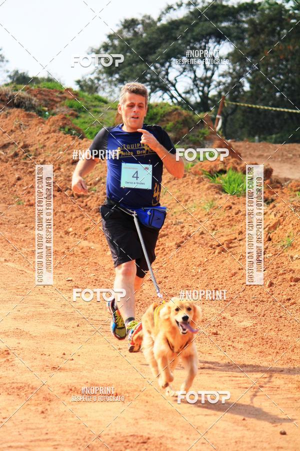 Acquista le foto dell'eventoTreino Premiado de Canicross in Fotop