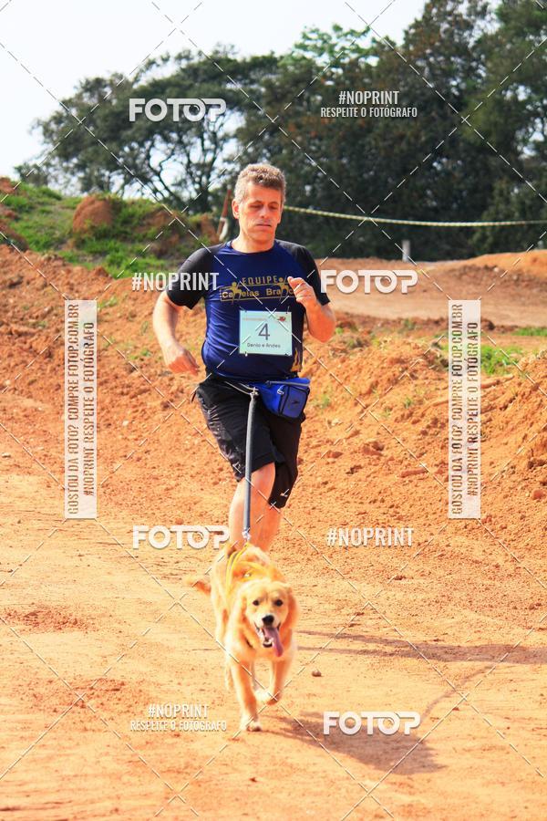 Acquista le foto dell'eventoTreino Premiado de Canicross in Fotop