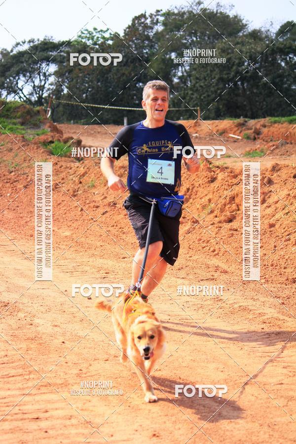 Acquista le foto dell'eventoTreino Premiado de Canicross in Fotop