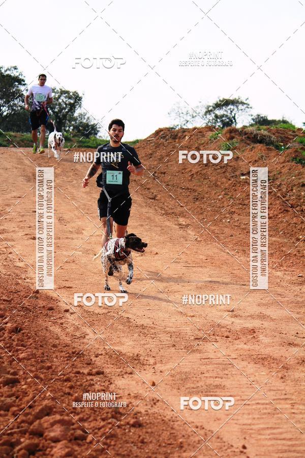 Achetez vos photos de l'vnementTreino Premiado de Canicross sur Fotop