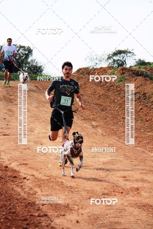 Achetez vos photos de l'vnementTreino Premiado de Canicross sur Fotop