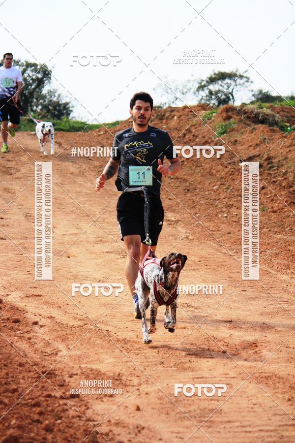 Achetez vos photos de l'vnementTreino Premiado de Canicross sur Fotop