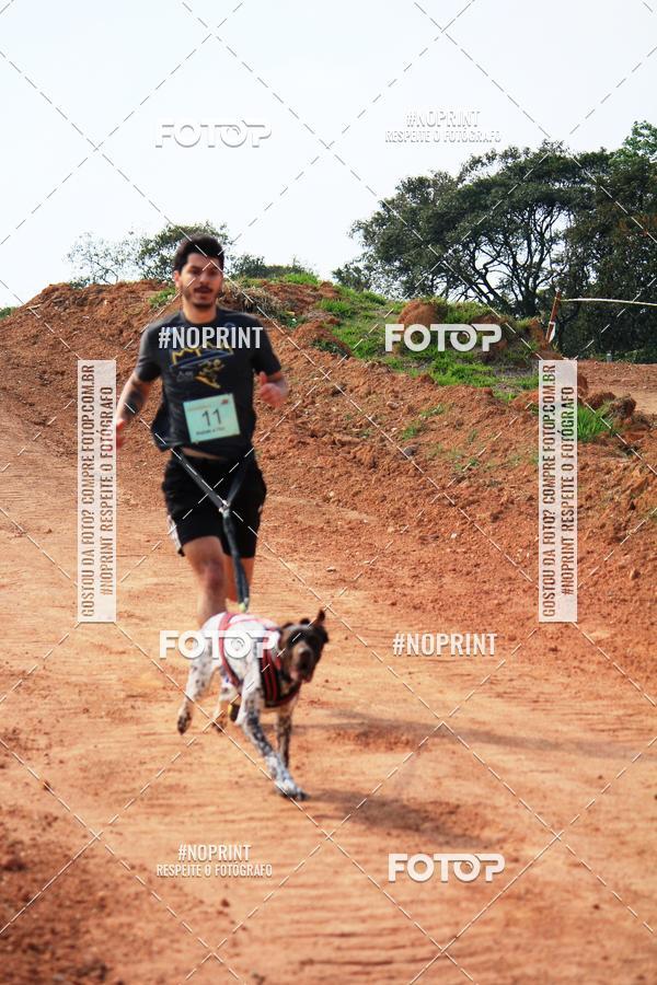 Achetez vos photos de l'vnementTreino Premiado de Canicross sur Fotop