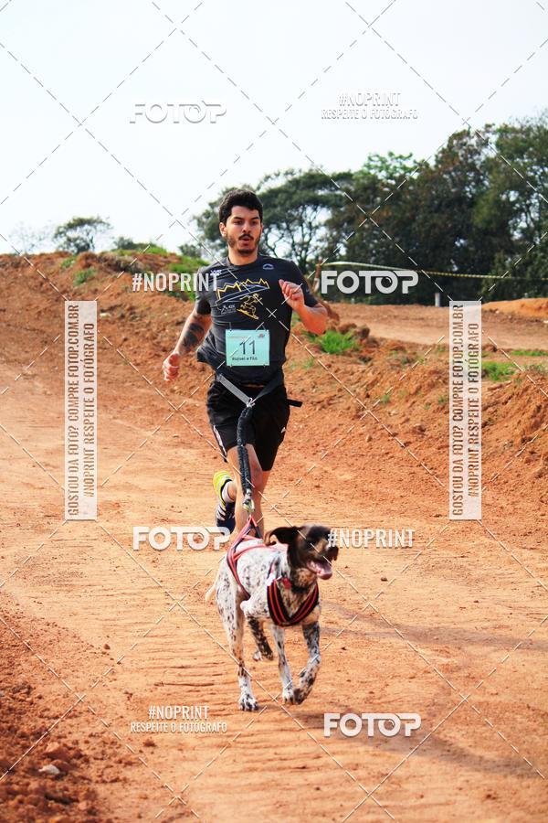 Achetez vos photos de l'vnementTreino Premiado de Canicross sur Fotop