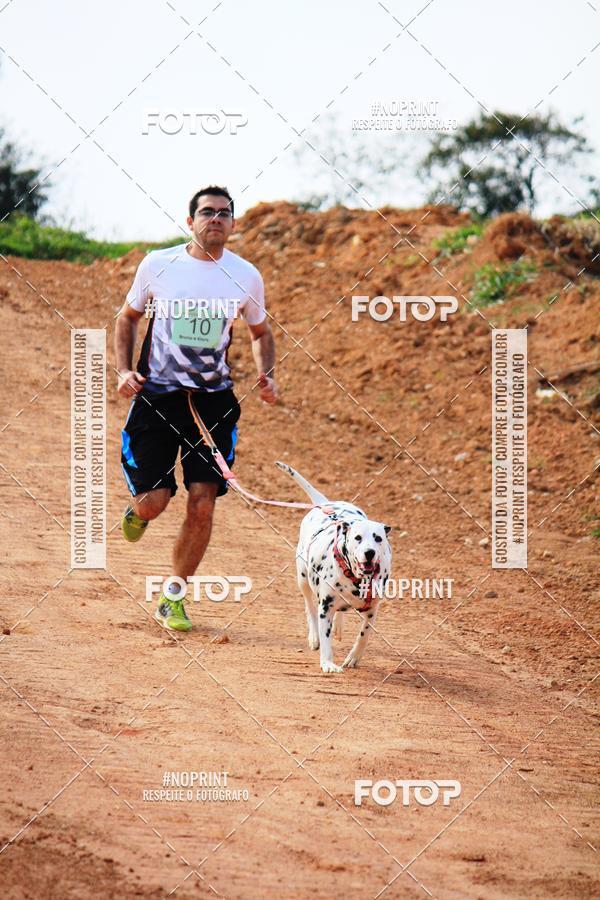 Achetez vos photos de l'vnementTreino Premiado de Canicross sur Fotop