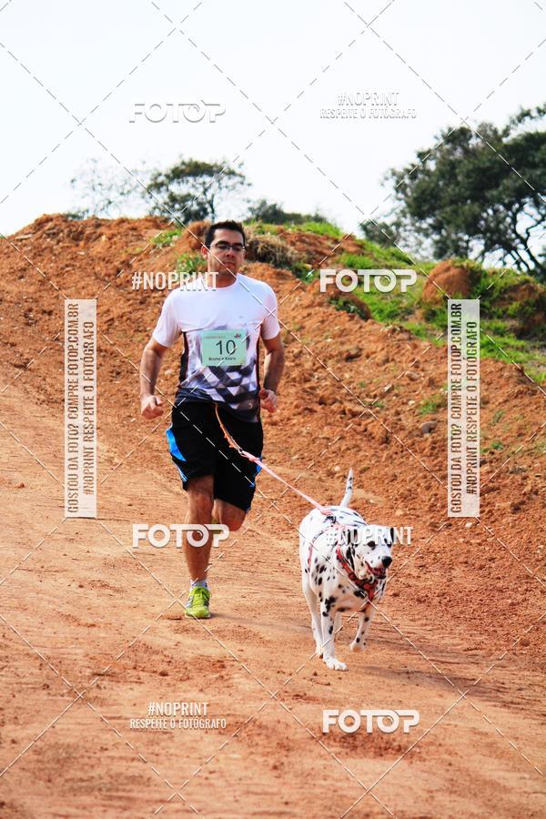 Achetez vos photos de l'vnementTreino Premiado de Canicross sur Fotop