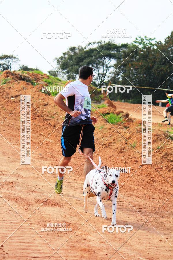 Achetez vos photos de l'vnementTreino Premiado de Canicross sur Fotop