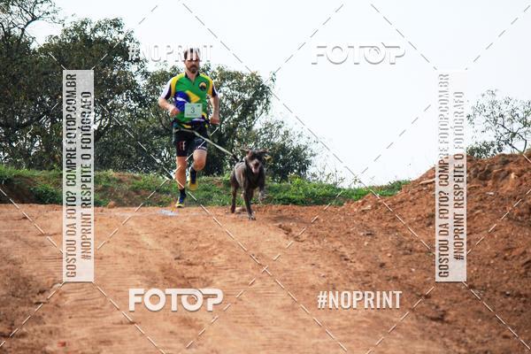 Achetez vos photos de l'vnementTreino Premiado de Canicross sur Fotop