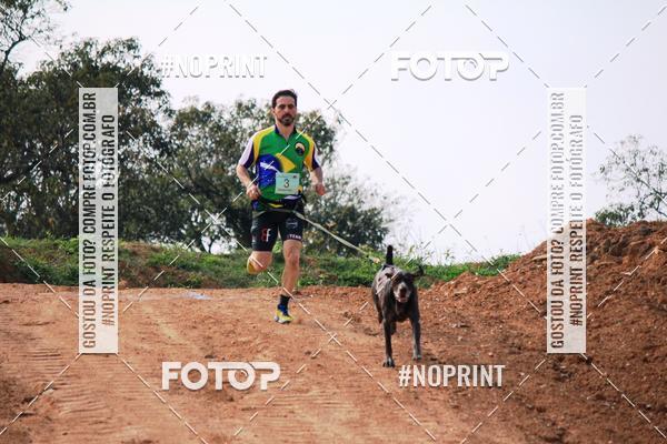 Achetez vos photos de l'vnementTreino Premiado de Canicross sur Fotop