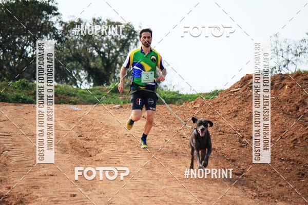 Achetez vos photos de l'vnementTreino Premiado de Canicross sur Fotop